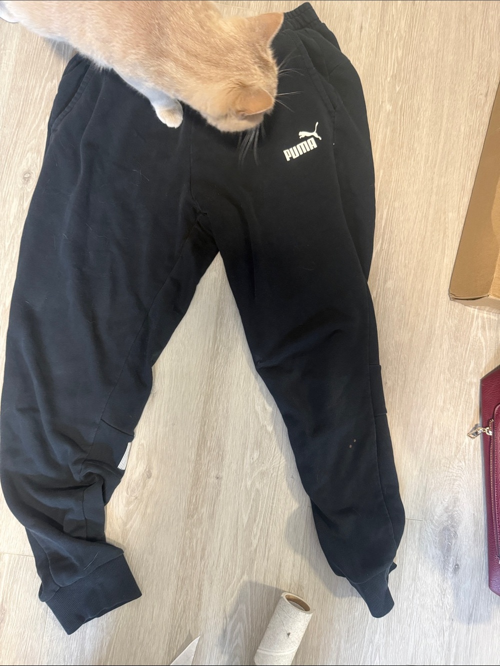 PUMA Black Sweat Joggers with White Logo - Picture 5 of 6